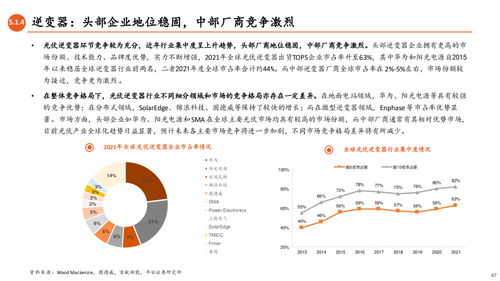 光伏產(chǎn)業(yè)全景圖 N型技術(shù)驅(qū)動變革，一體化擴(kuò)產(chǎn)與競爭加劇